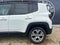 2020 Jeep Renegade Limited