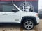 2020 Jeep Renegade Limited