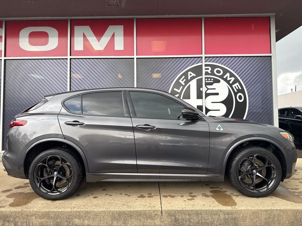 2019 Alfa Romeo Stelvio Quadrifoglio